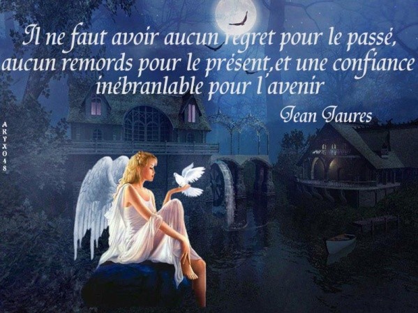 citation amitie indestructible